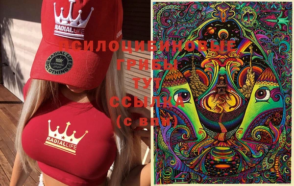 синтетический гашиш Коряжма