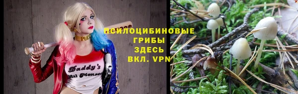 синтетический гашиш Коряжма