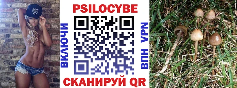 Купить где  Михайловск  Галлюциногенные грибы мицелий 